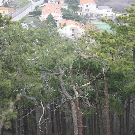 Apartman Branka *